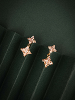 Traditional Meets Modern: Gold Polish AD Dangler Earrings for Festive Wear